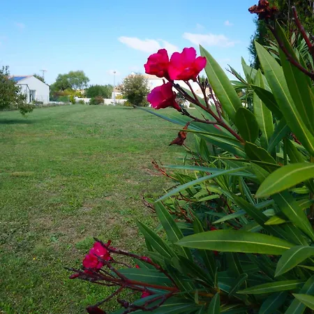 La Rochelle Sainte-Soulle