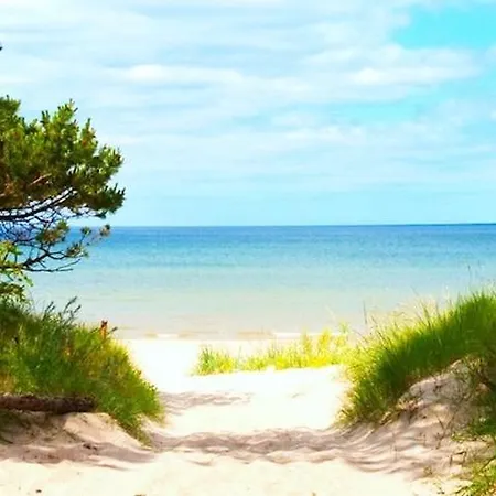 La Rochelle Daire Sainte-Soulle